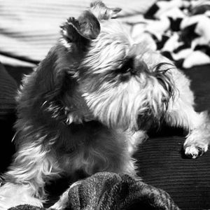 Meet your Posher, Tyrell